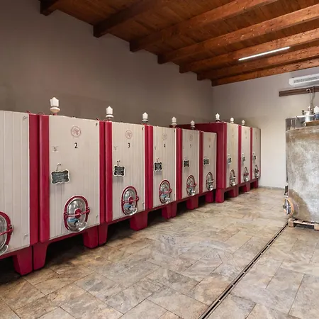 Le Calle By Interhome Holiday home Cinigiano